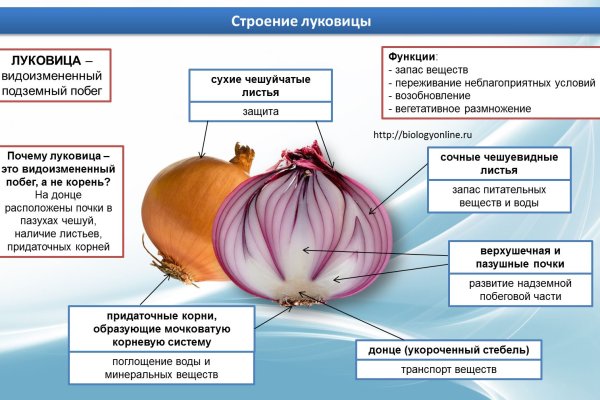 Кракен запрещенные вещества