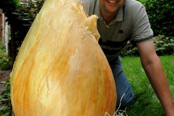 Кракен верное зеркало