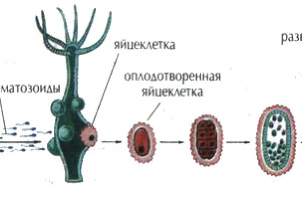Кракен соль