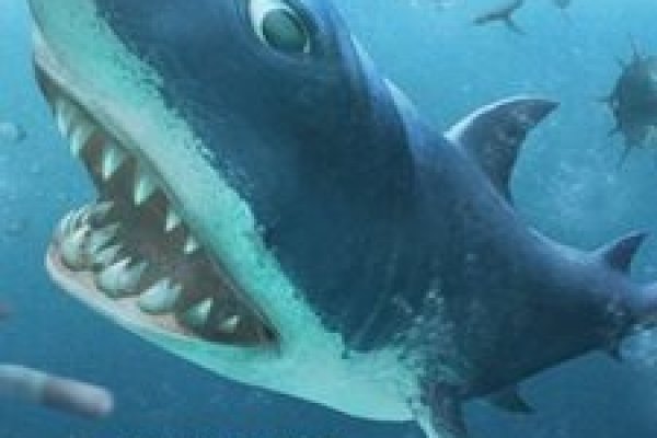 Kraken рынок