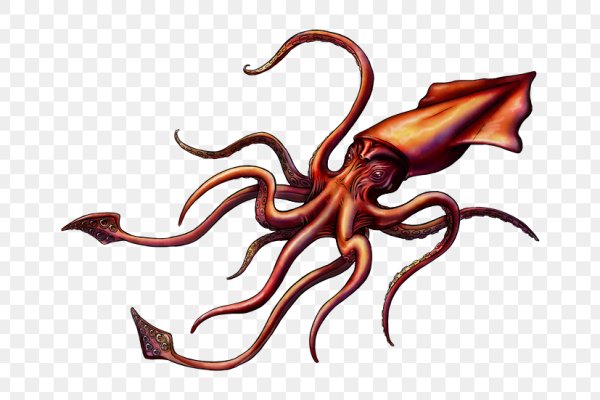 Kraken 14 at