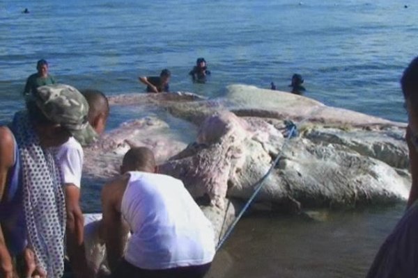 Kraken зайти на сайт