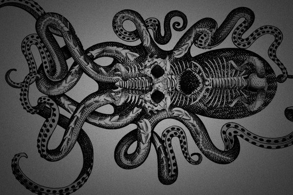 Сайт kraken whitenet