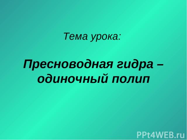 Как найти ссылку на кракен