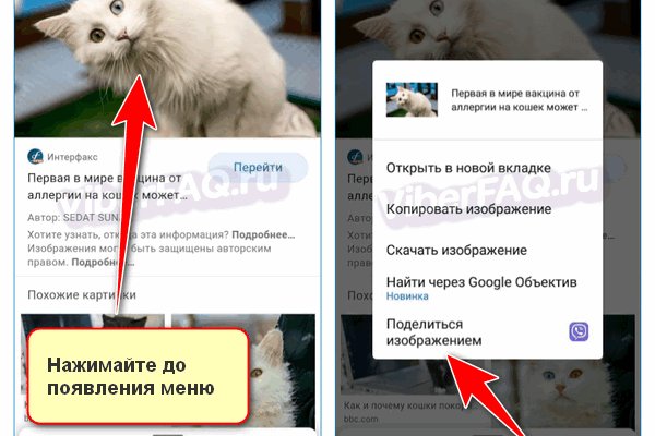 Кракен переход