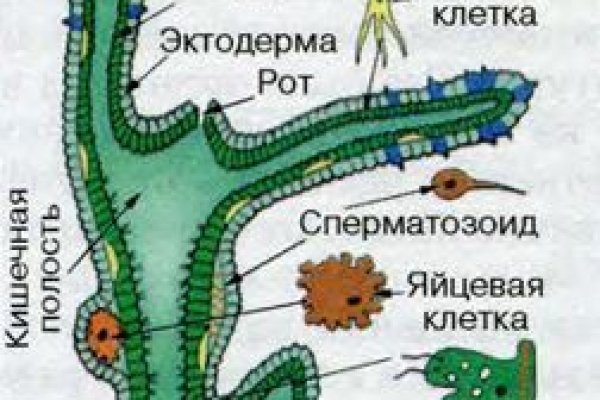 Ссылка в магазин на кракен